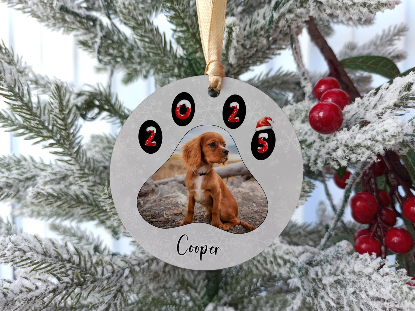 Dog's Photo Christmas Decoration