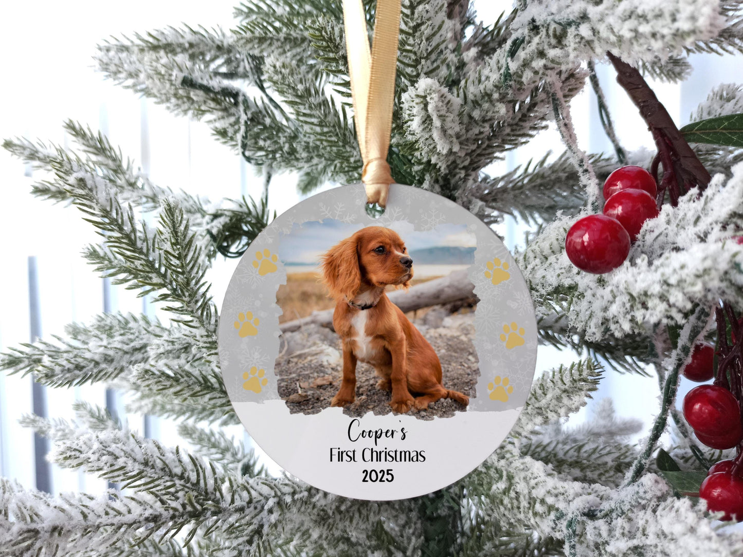 Dog's First Christmas Personalised Photo Tree Decoration